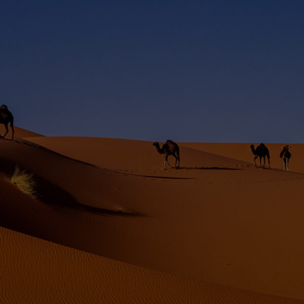 4 Days Tour From Agadir To Merzouga