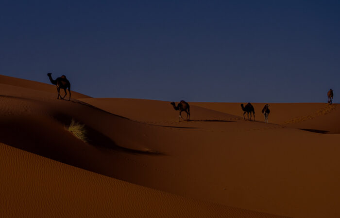 4 Days Tour From Agadir To Merzouga