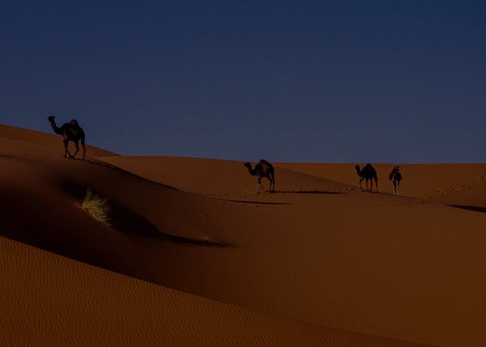 4 Days Tour From Agadir To Merzouga