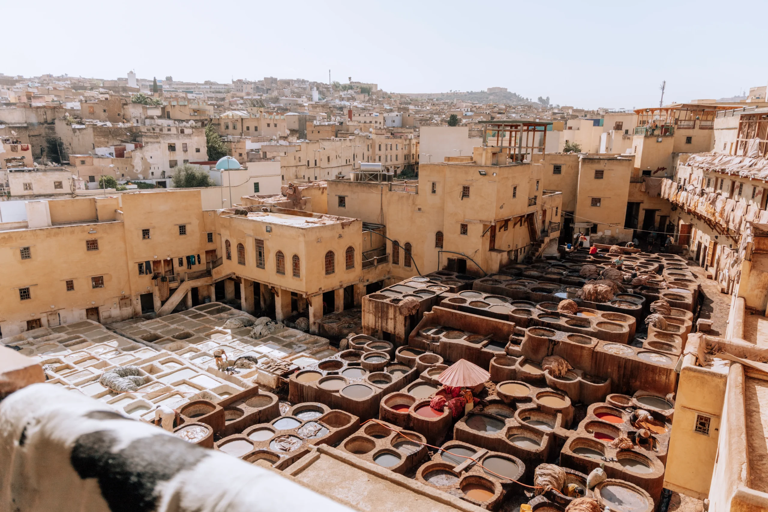 Tours From Fes