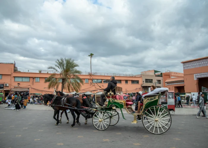 1 Day trip to Ouzoud Waterfalls from Marrakech