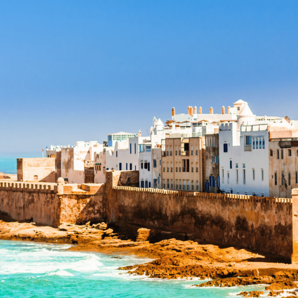 Day Trip to Essaouira