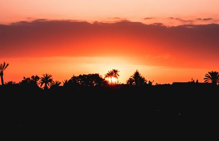Day Trip to Paradise Valley from Agadir