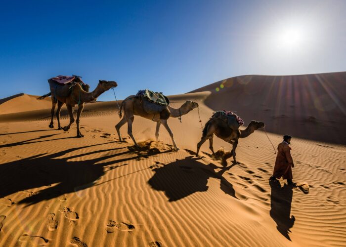 2 Days Tour from Marrakech to Zagora