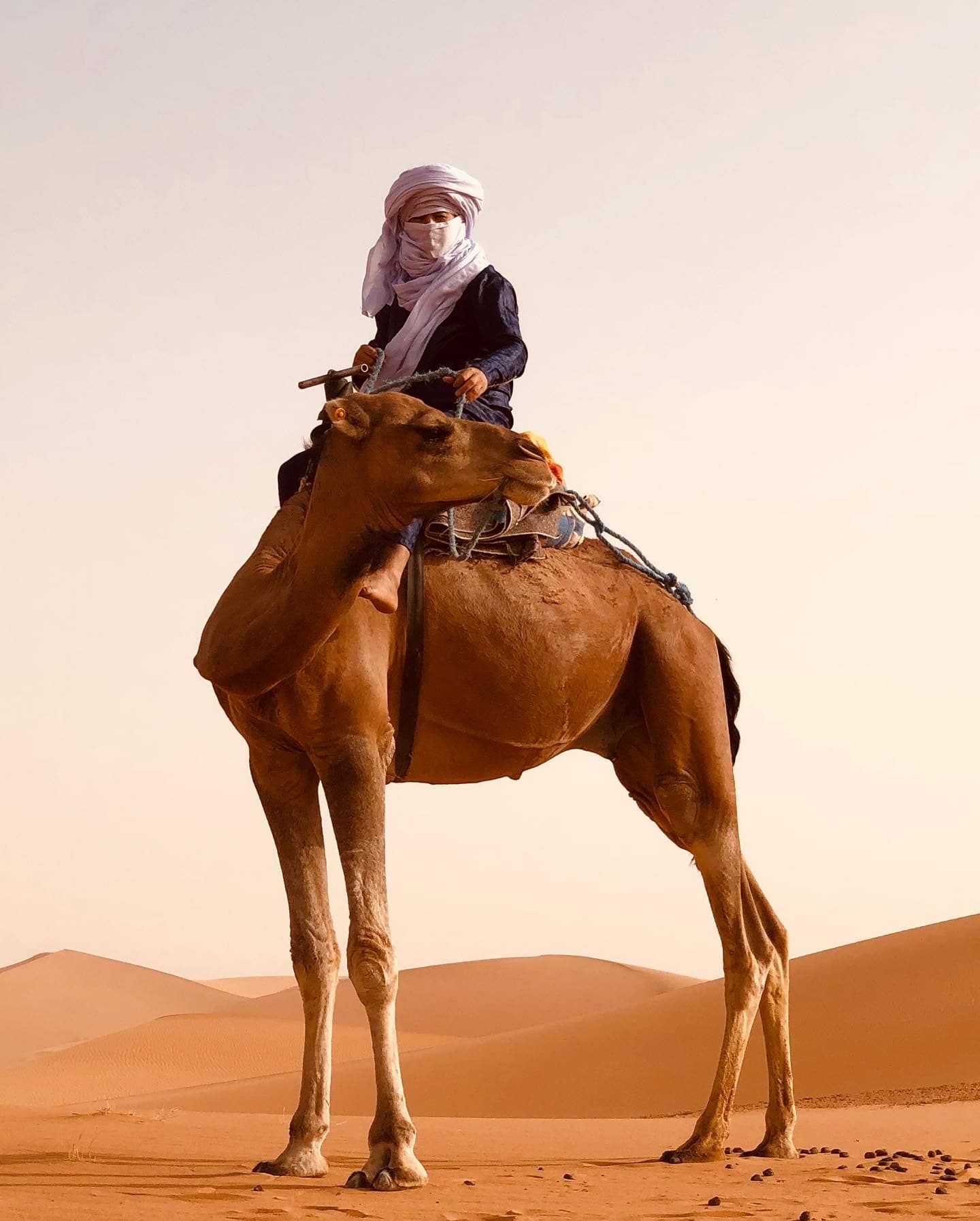 MOROCCO FOR VIVISTORS
