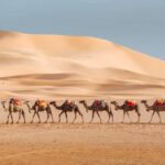 morocco desert tours