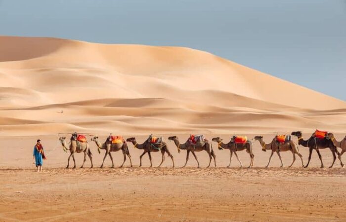 morocco desert tours