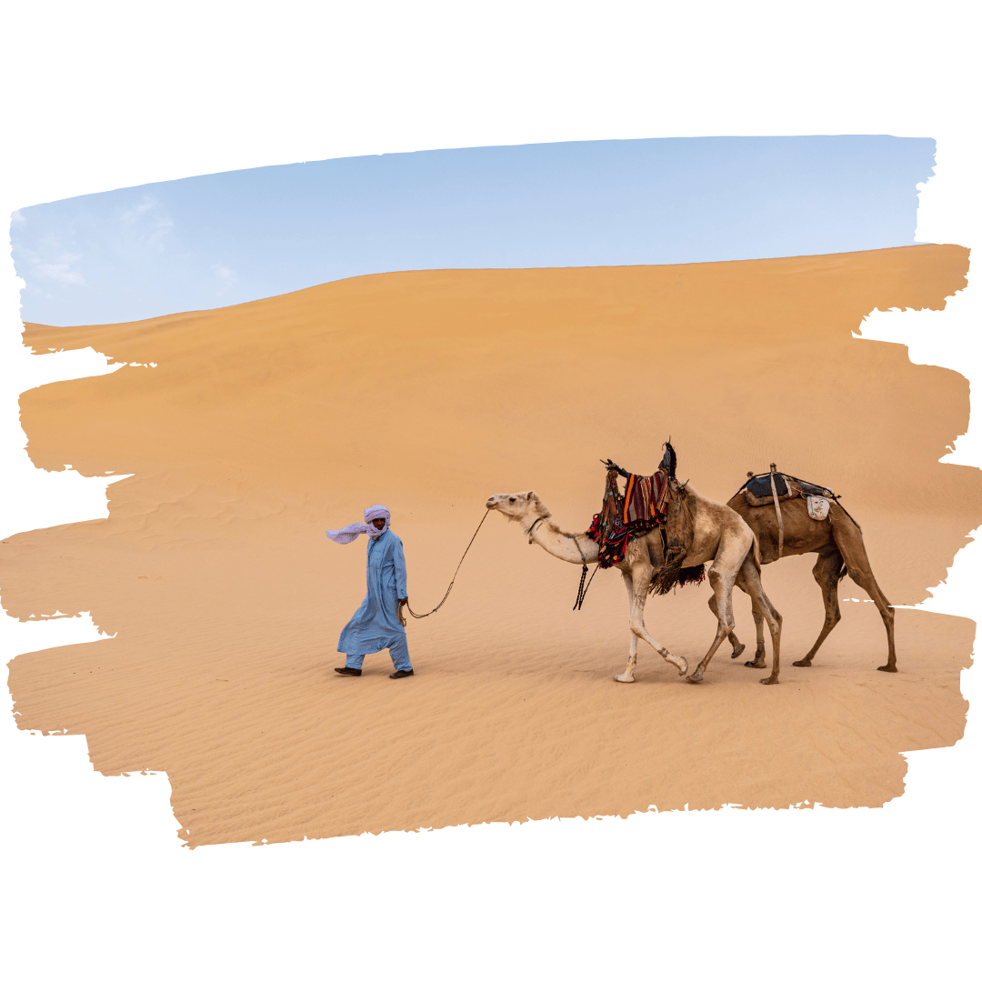 Tour Desierto de Agafay desde Marrakech