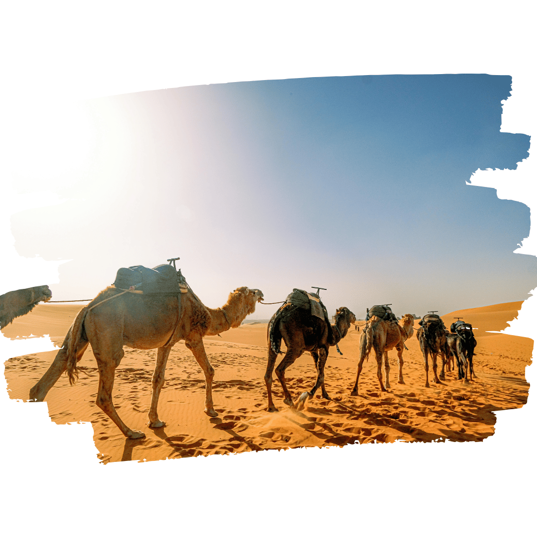 3-Day Fes to Marrakech Desert Tour via Merzouga: Complete Guide